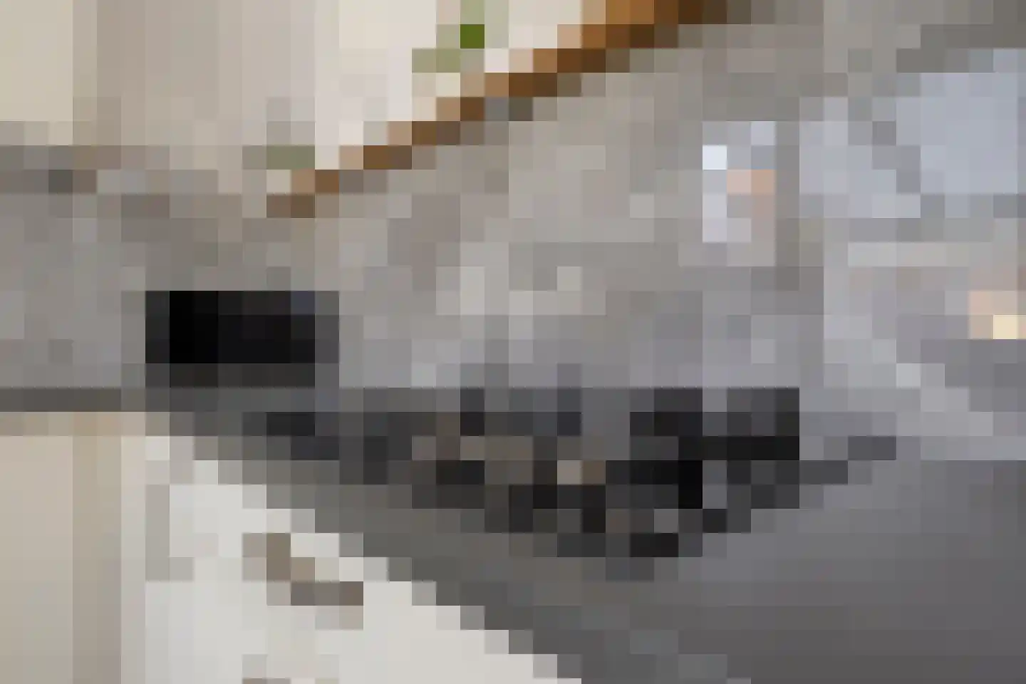Madeliefstraat 24 Spijkenisse thumbnail 11