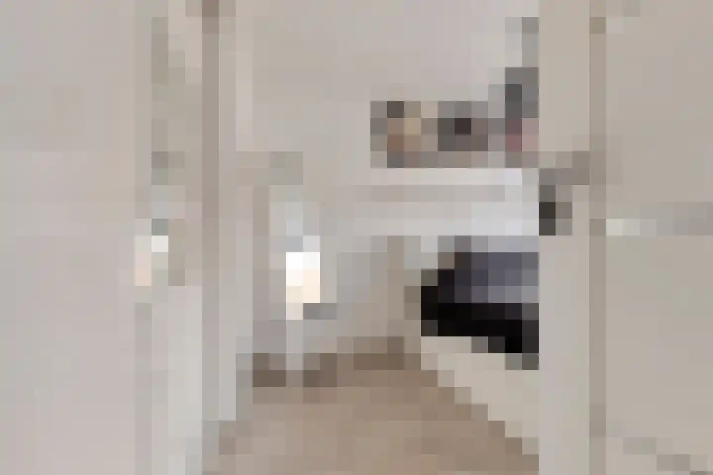 Madeliefstraat 24 Spijkenisse thumbnail 18