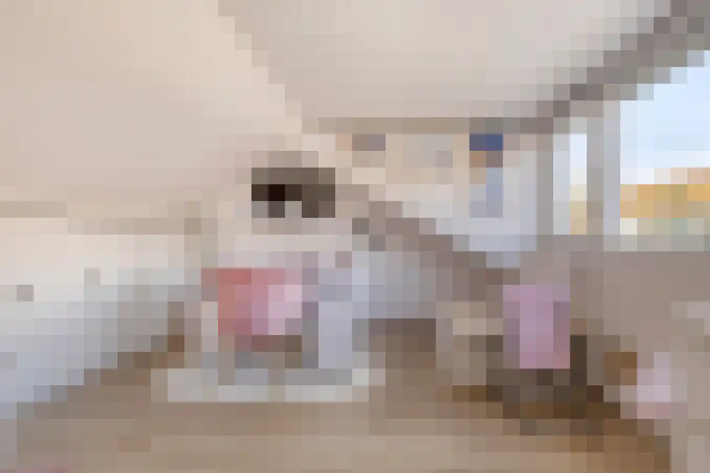 Madeliefstraat 24 Spijkenisse thumbnail 31