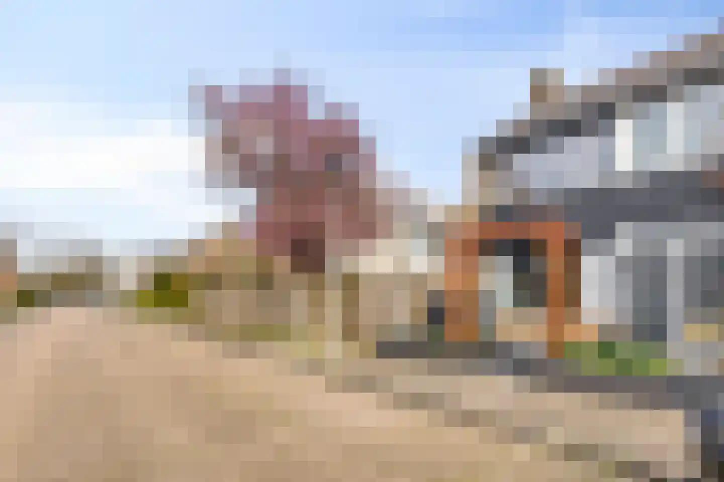 Madeliefstraat 24 Spijkenisse thumbnail 35