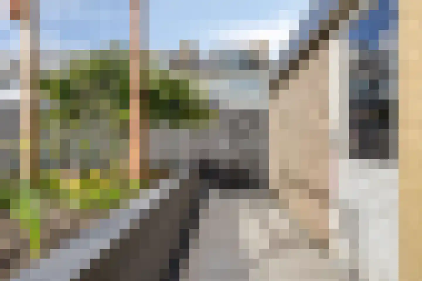 Madeliefstraat 24 Spijkenisse thumbnail 51