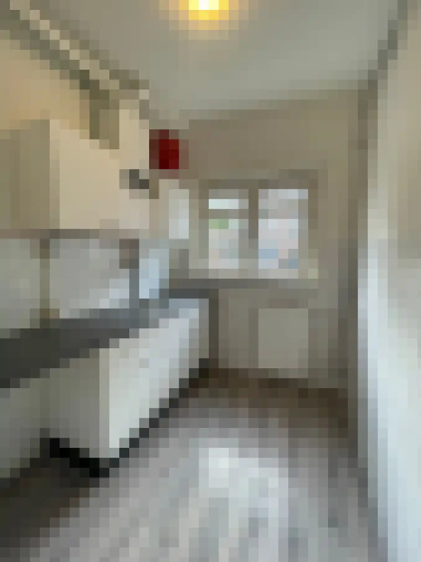 Madeliefstraat 26 A Rotterdam thumbnail 6
