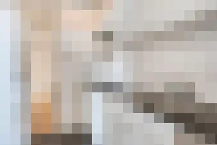 Madeliefstraat 26 Eindhoven thumbnail 11
