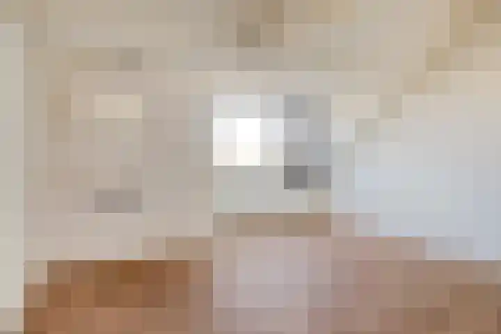 Madeliefstraat 26 Eindhoven thumbnail 22