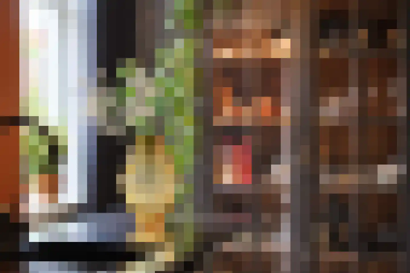 Madeliefstraat 31 Eindhoven thumbnail 23
