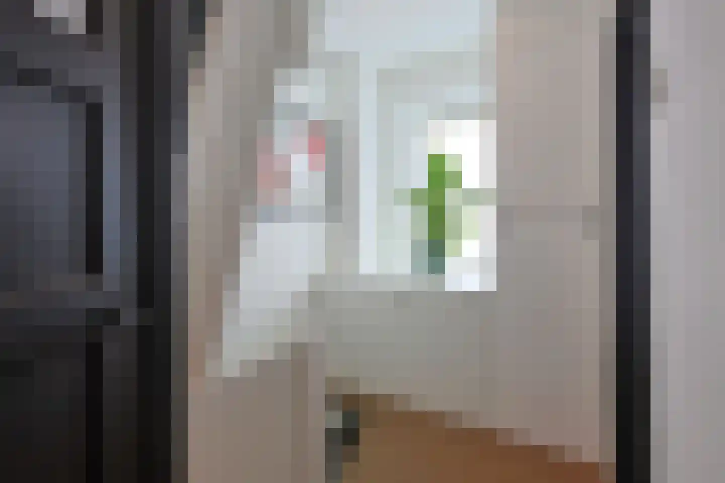 Madeliefstraat 31 Eindhoven thumbnail 26