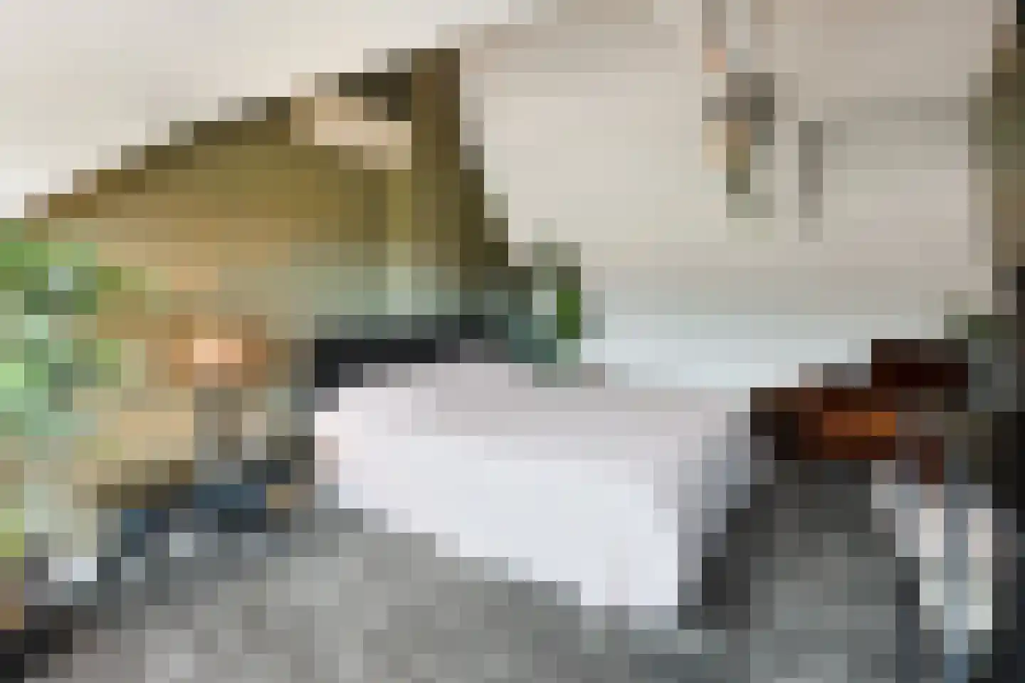 Madeliefstraat 31 Eindhoven thumbnail 39