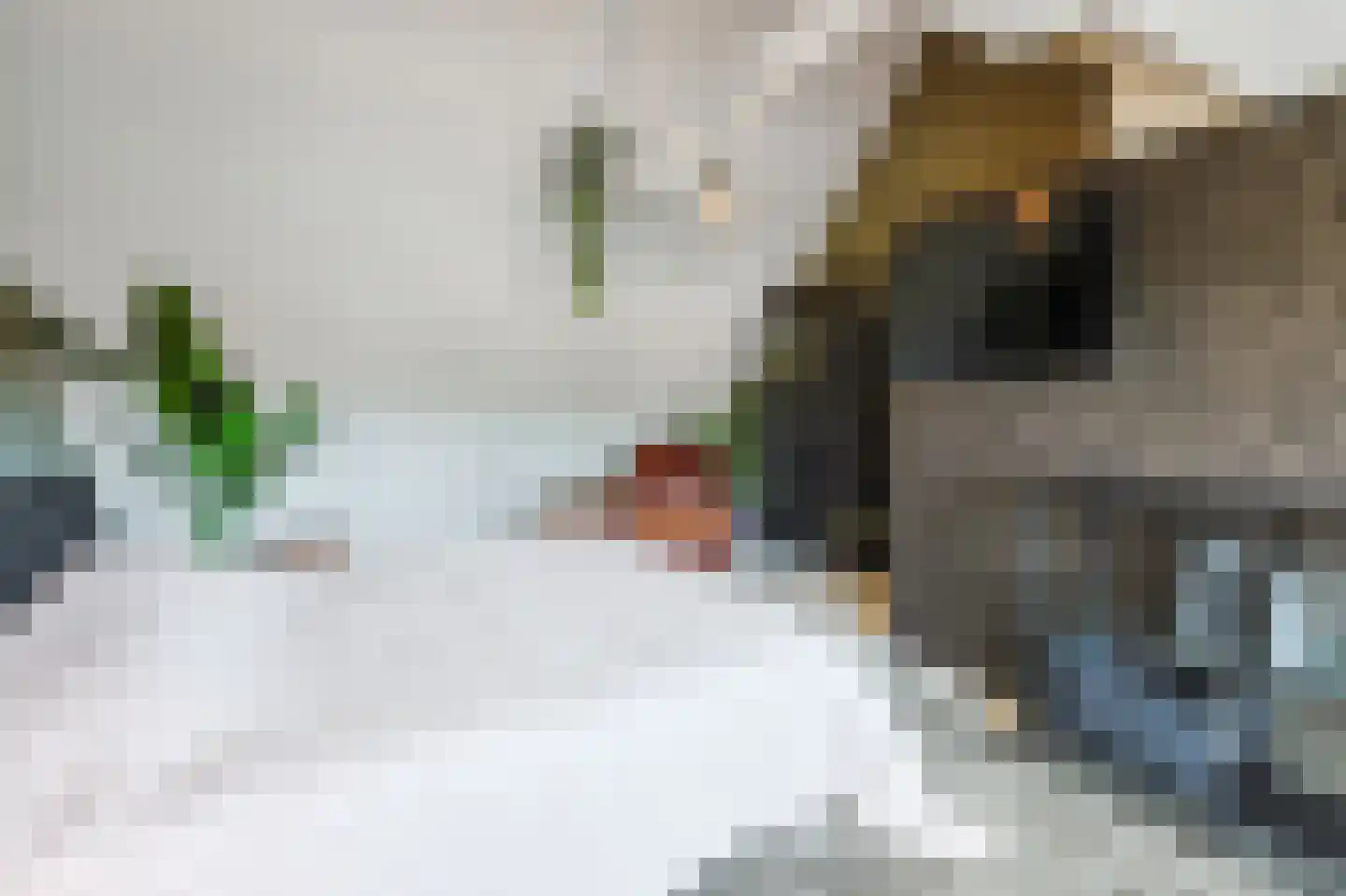 Madeliefstraat 31 Eindhoven thumbnail 40