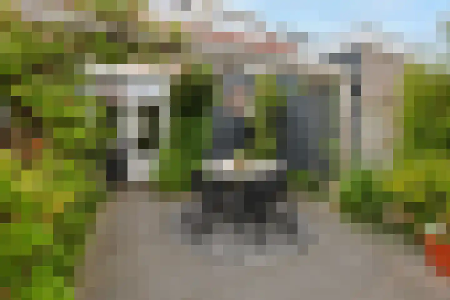 Madeliefstraat 31 Eindhoven thumbnail 45