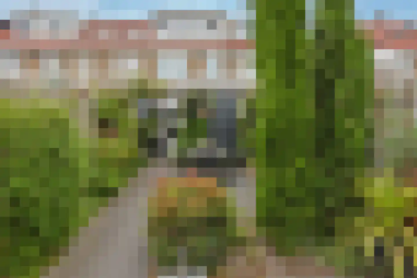 Madeliefstraat 31 Eindhoven thumbnail 46