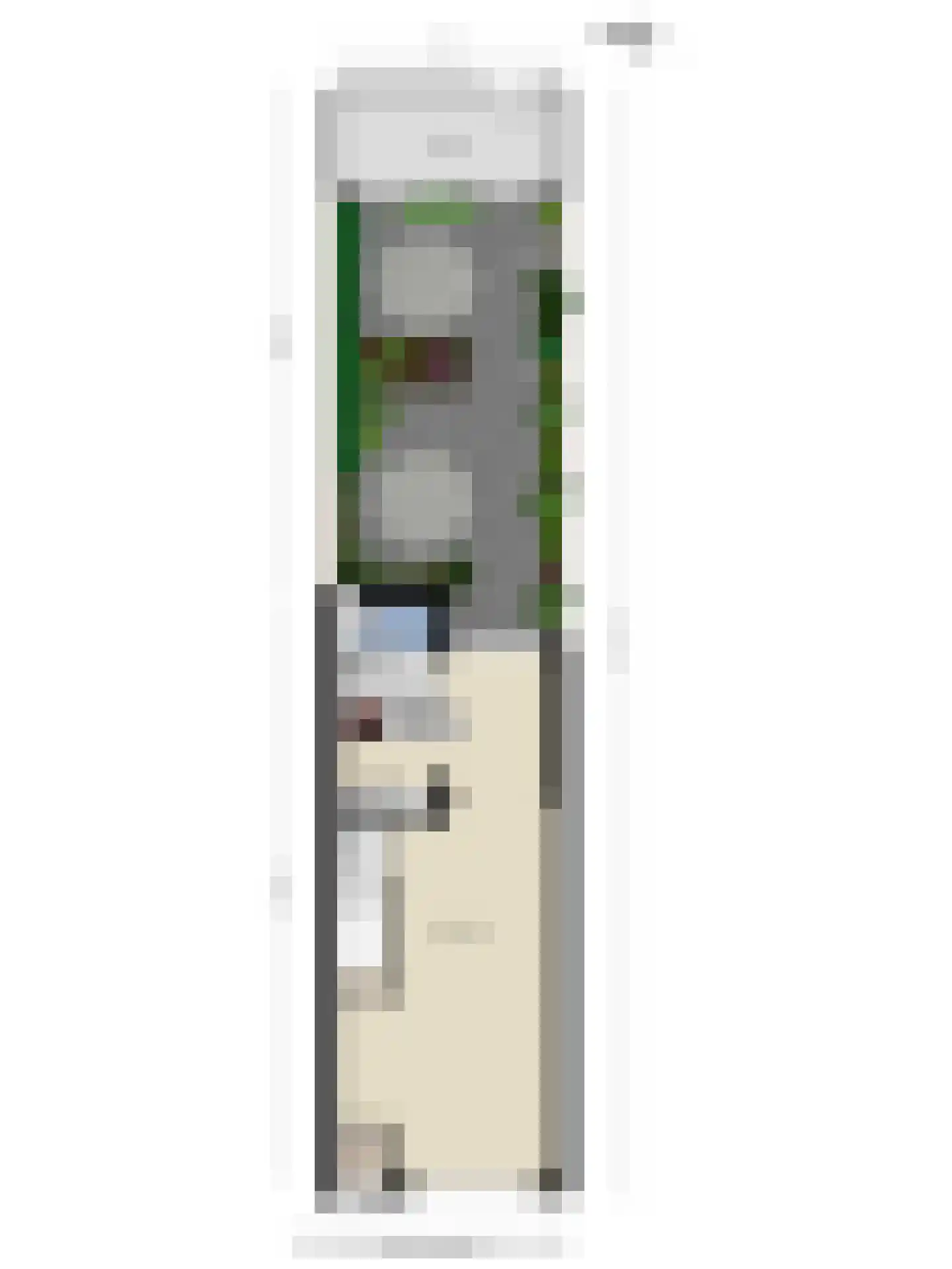 Madeliefstraat 31 Eindhoven thumbnail 48