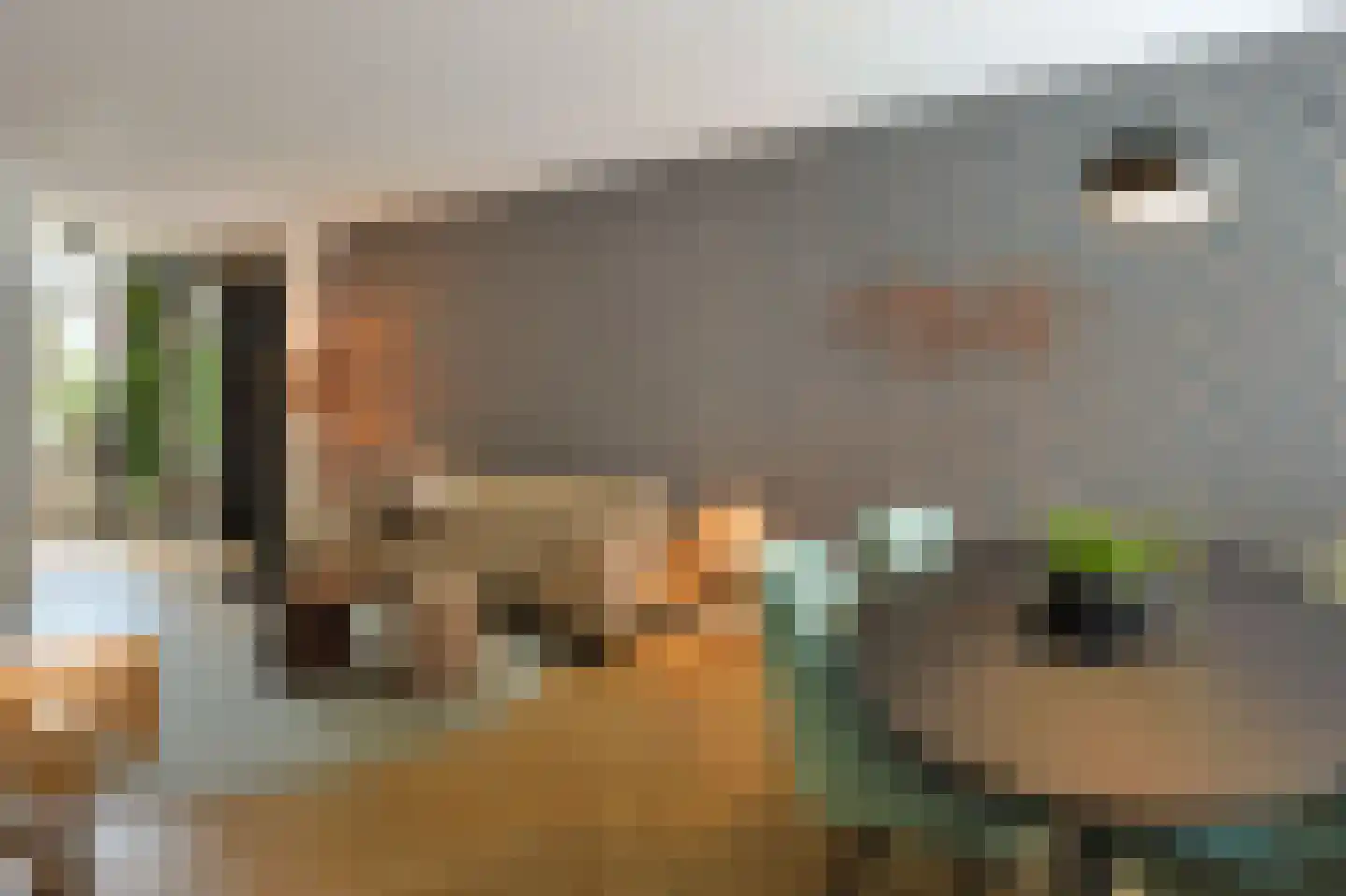 Madeliefstraat 31 Eindhoven thumbnail 7