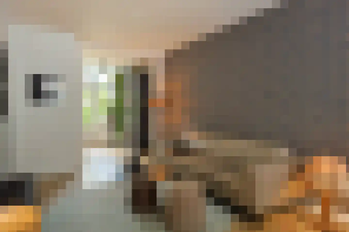 Madeliefstraat 31 Eindhoven thumbnail 8