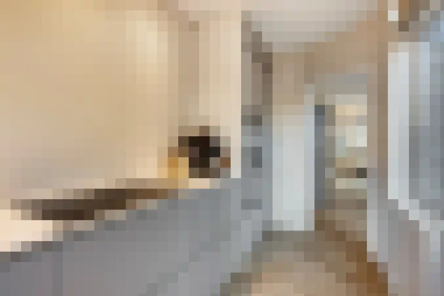 Madeliefstraat 33 Eindhoven thumbnail 11