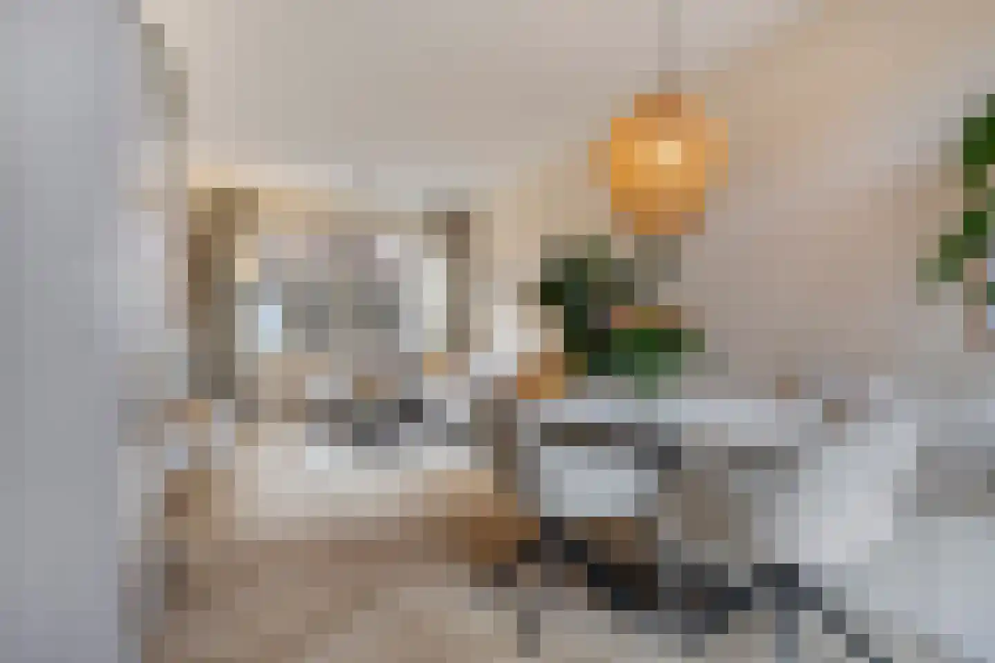 Madeliefstraat 33 Eindhoven thumbnail 8