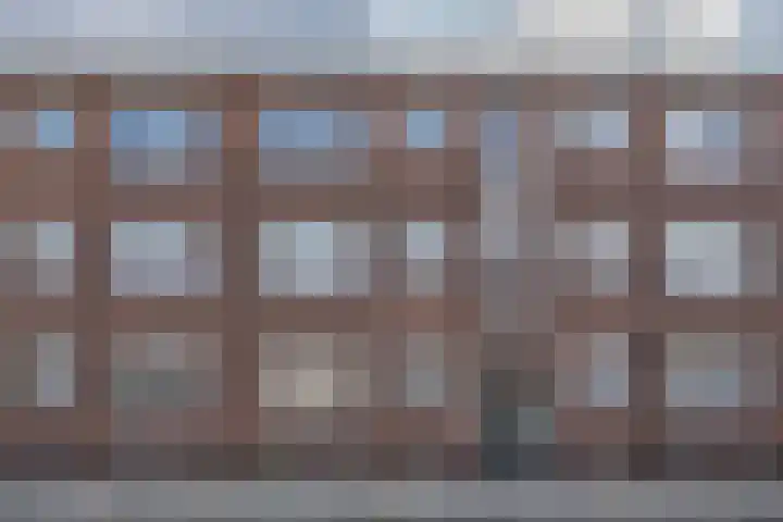 Madeliefstraat 34 B Rotterdam thumbnail 6