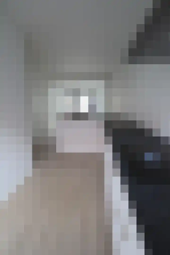Madeliefstraat 39 Eindhoven thumbnail 5