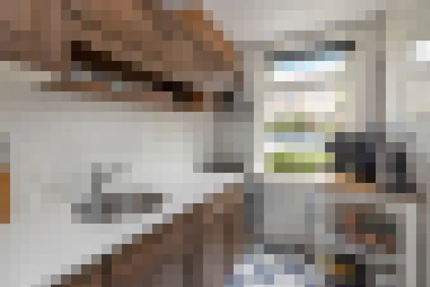 Madeliefstraat 4 Alkmaar thumbnail 13
