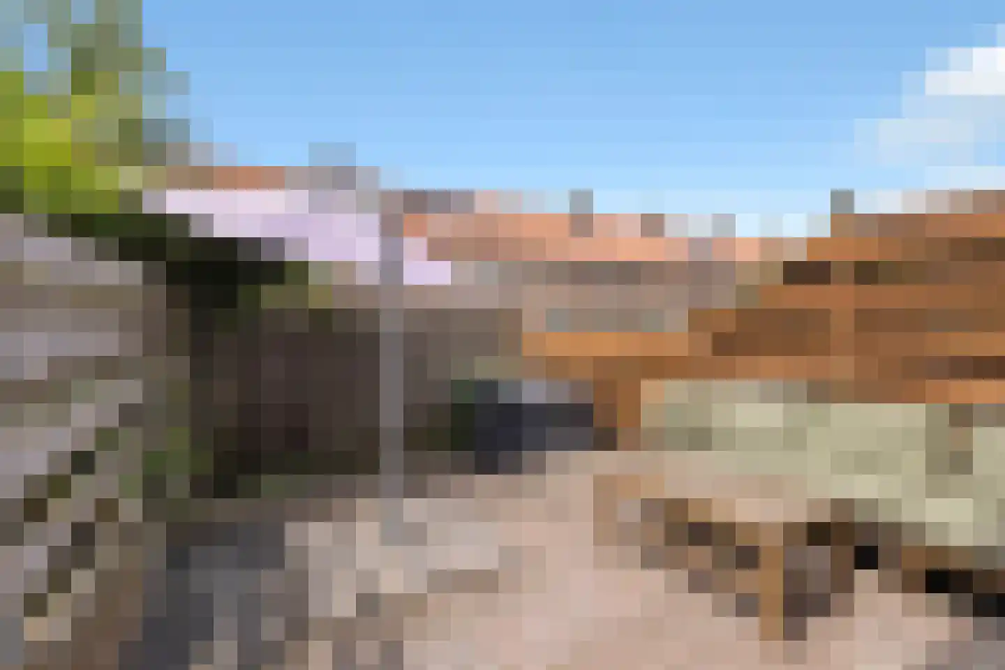 Madeliefstraat 4 Alkmaar thumbnail 4