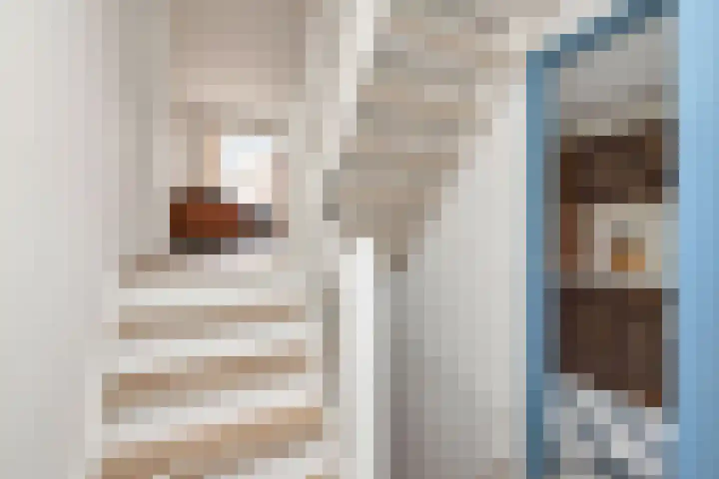Madeliefstraat 4 Alkmaar thumbnail 7