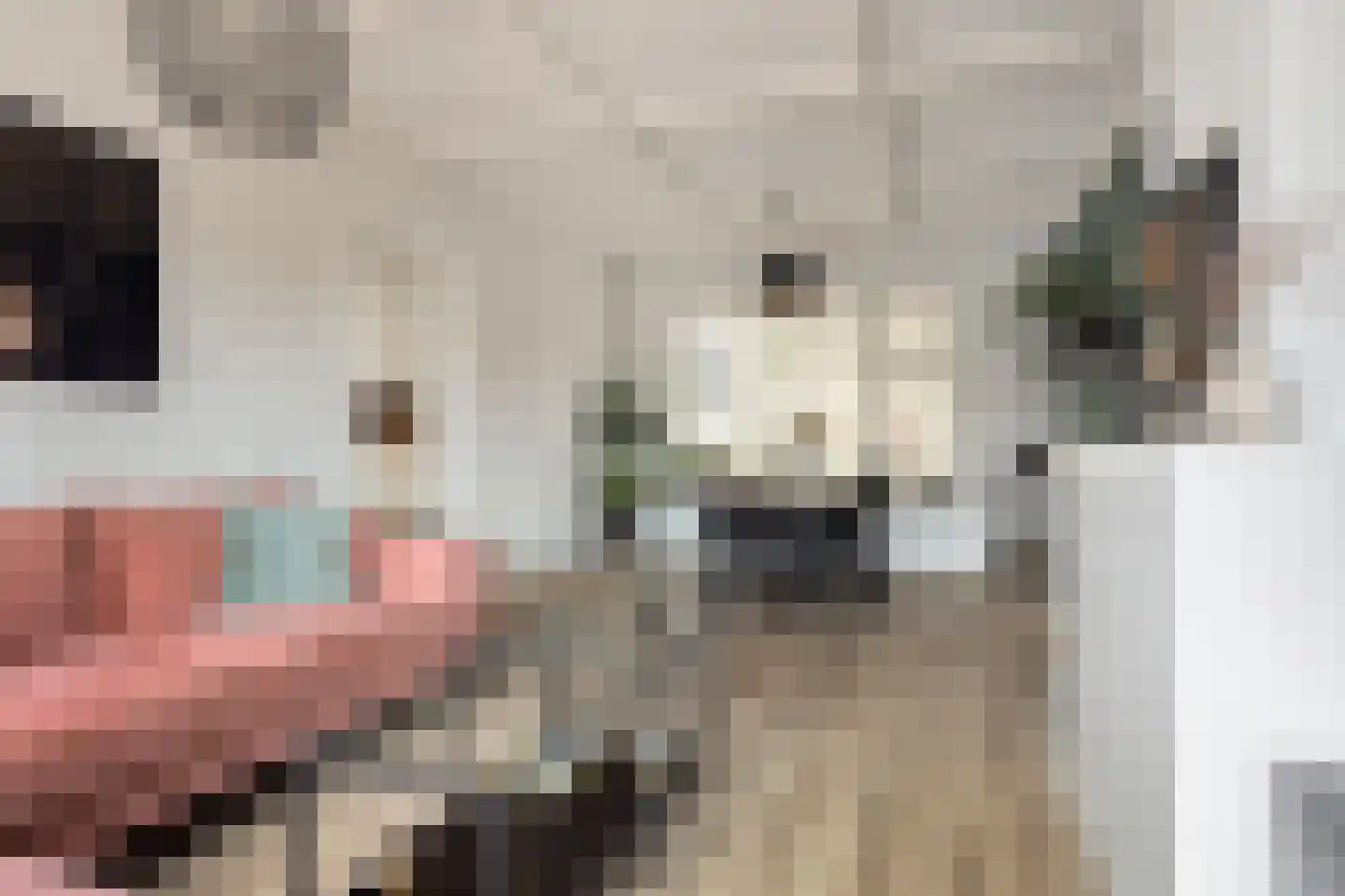 Madeliefstraat 4 Bergeijk thumbnail 12
