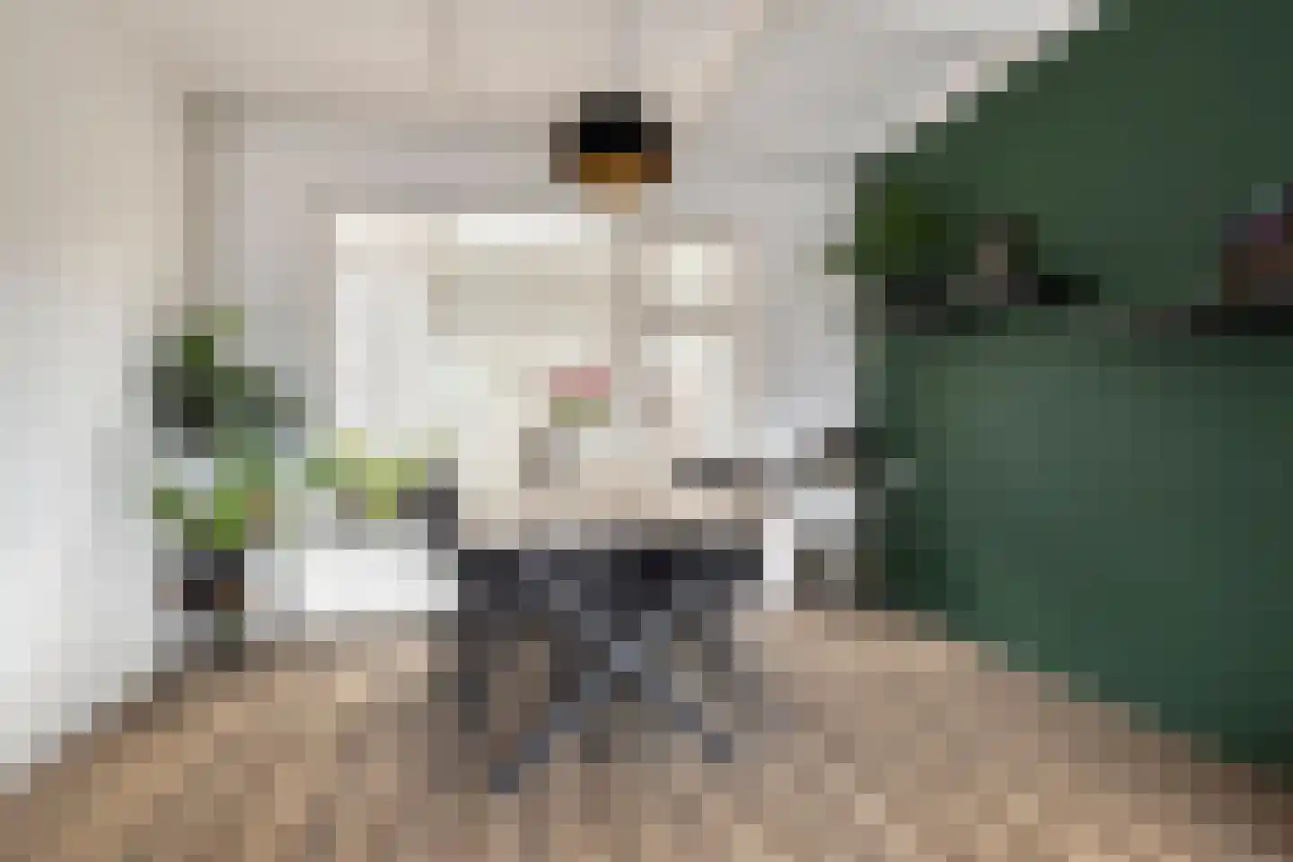 Madeliefstraat 4 Bergeijk thumbnail 13