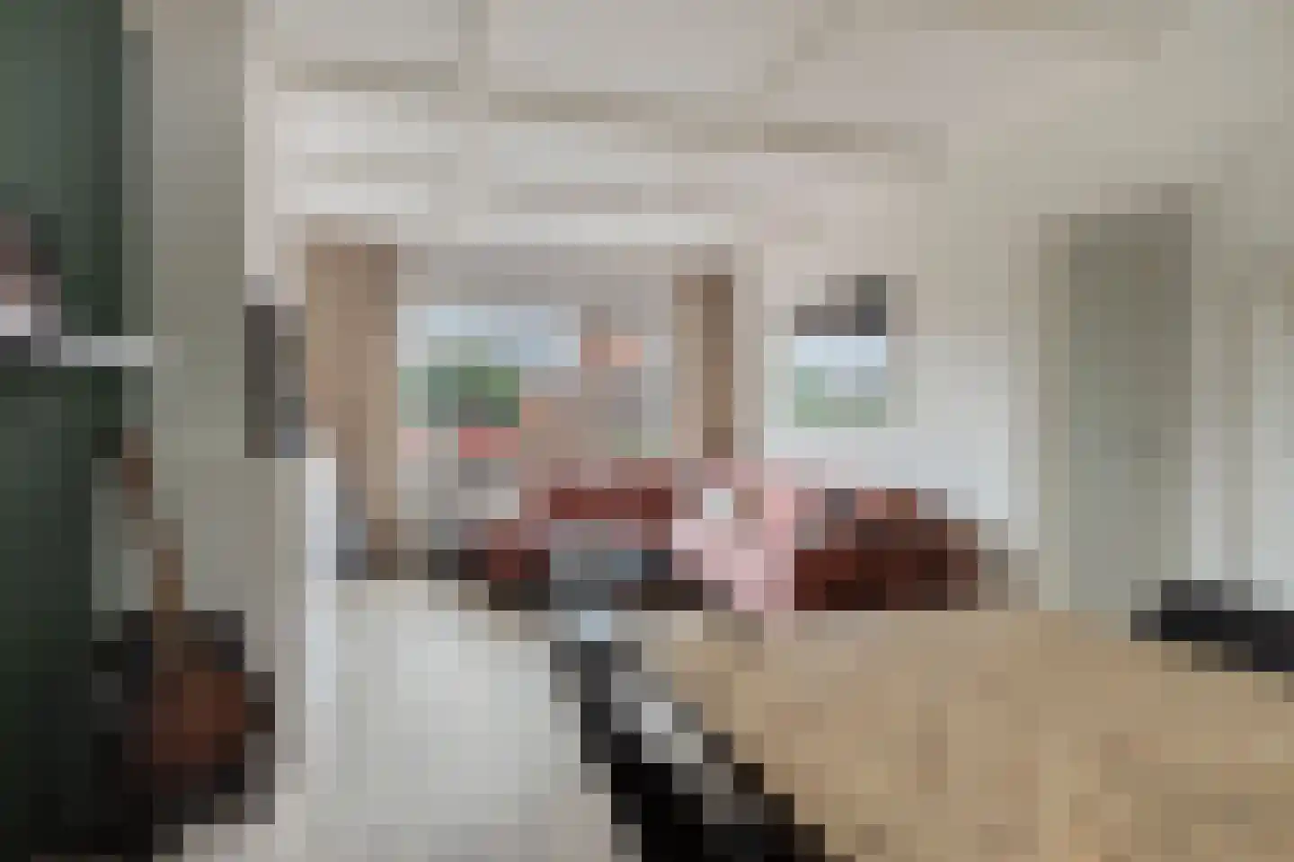 Madeliefstraat 4 Bergeijk thumbnail 14