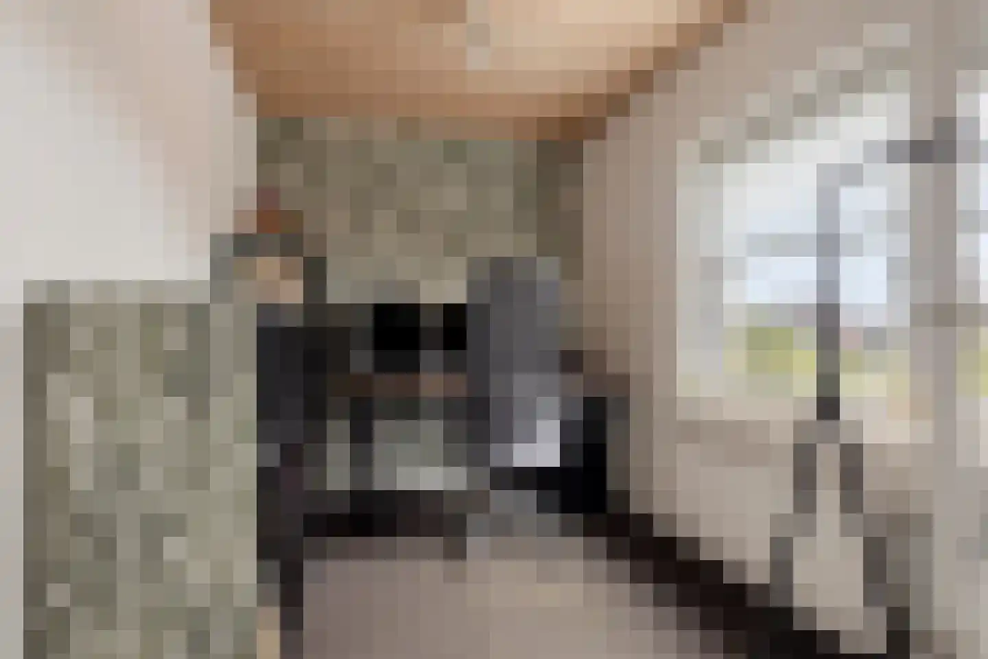 Madeliefstraat 4 Bergeijk thumbnail 24