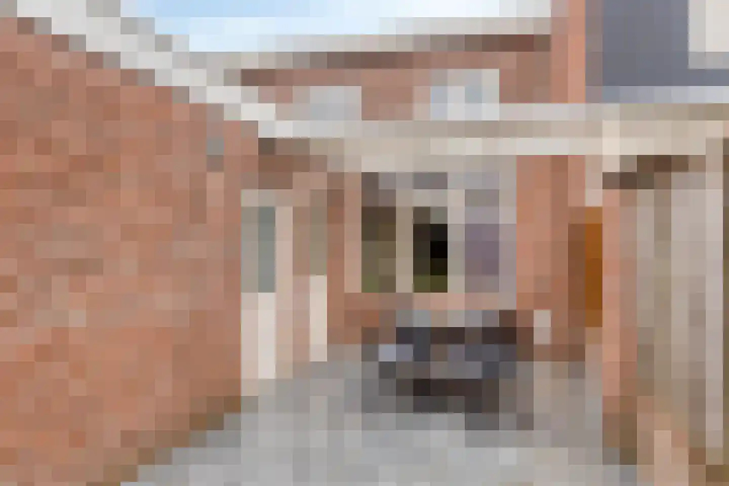 Madeliefstraat 4 Bergeijk thumbnail 27