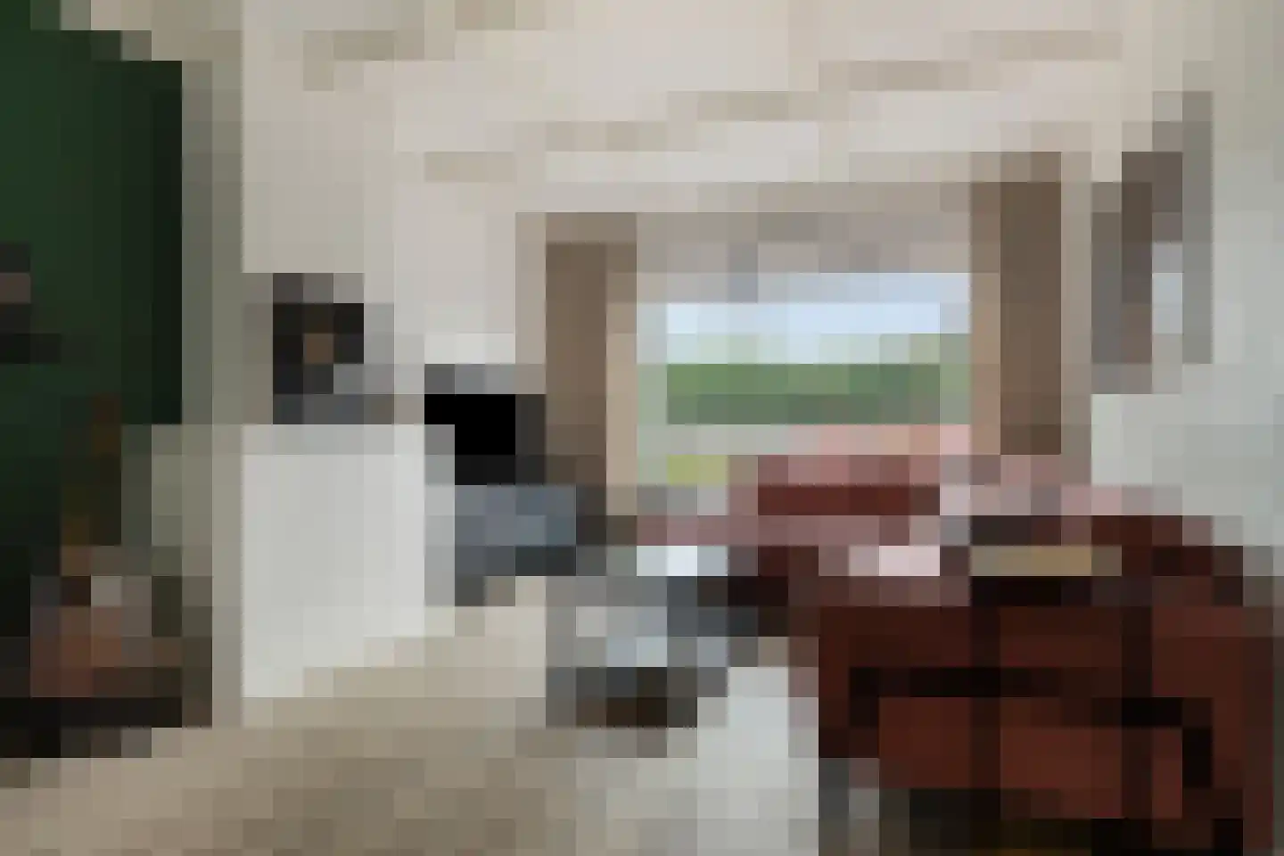 Madeliefstraat 4 Bergeijk thumbnail 5