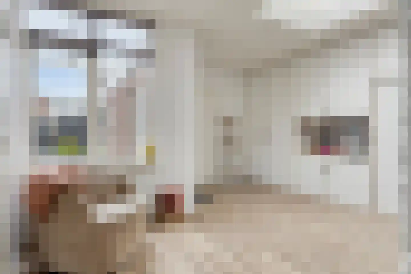 Madeliefstraat 4 Bergeijk thumbnail 6