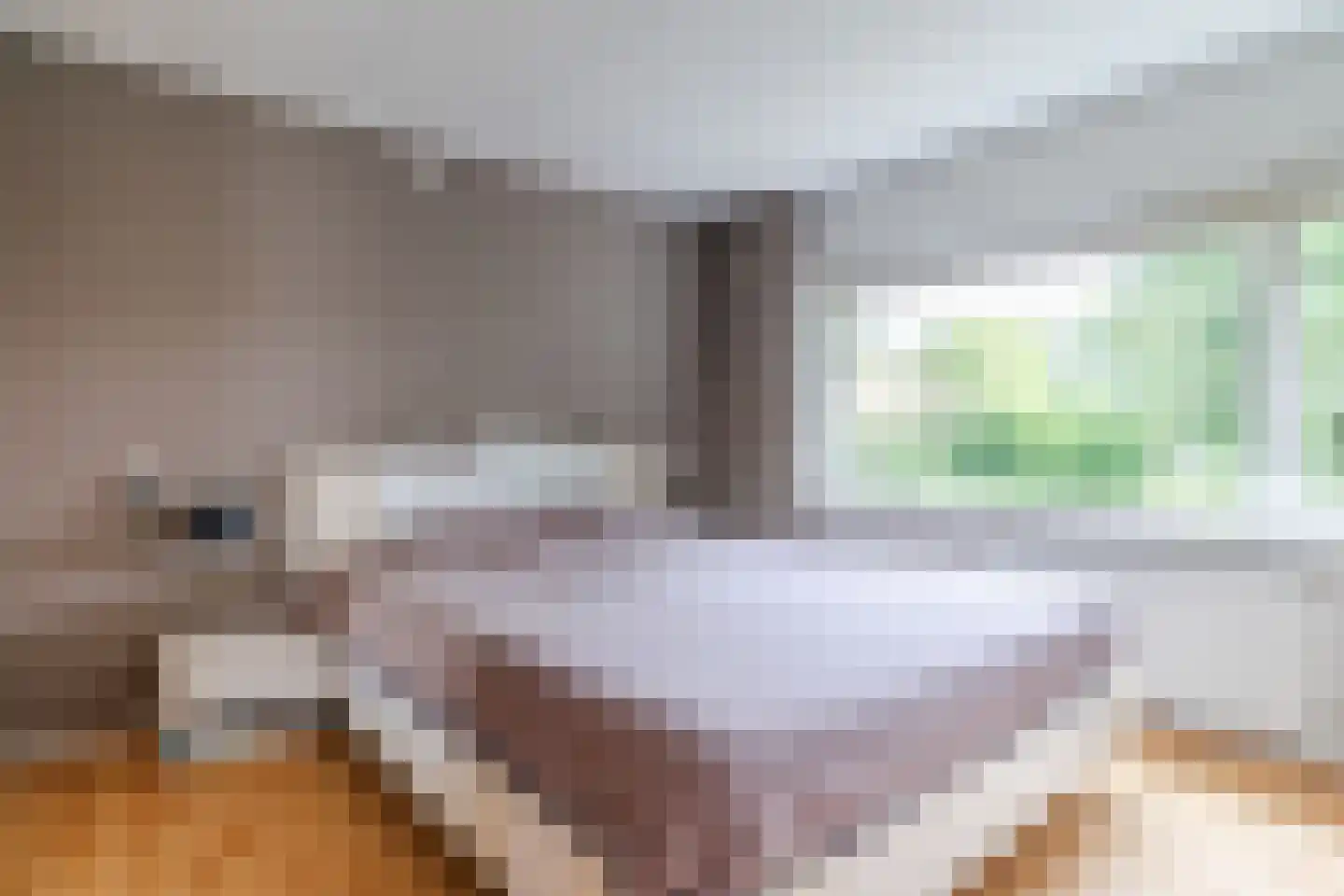 Madeliefstraat 4 Berkel-Enschot thumbnail 23