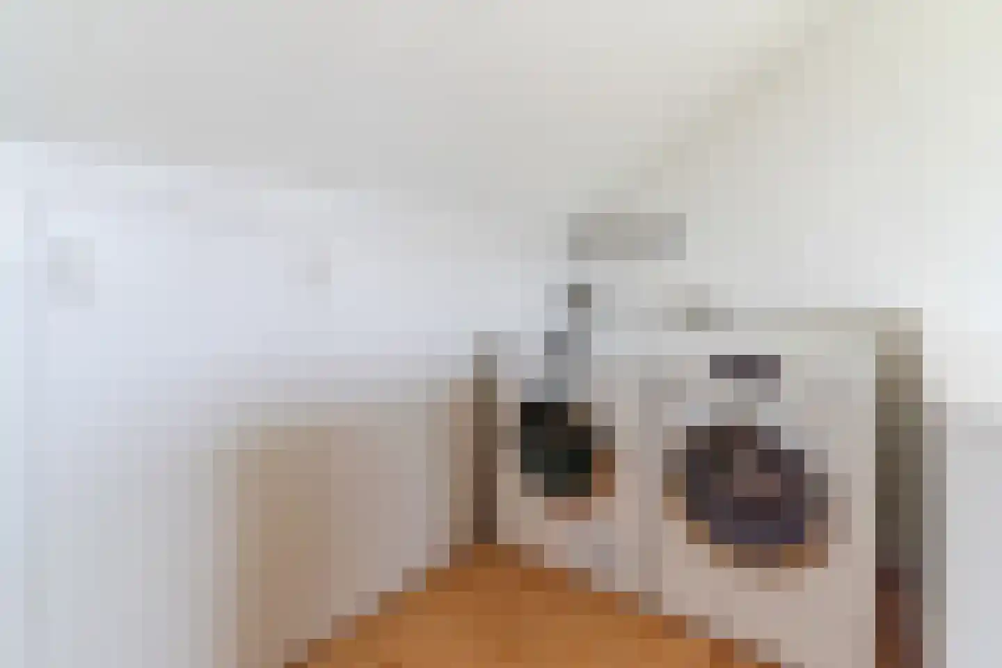 Madeliefstraat 4 Berkel-Enschot thumbnail 30