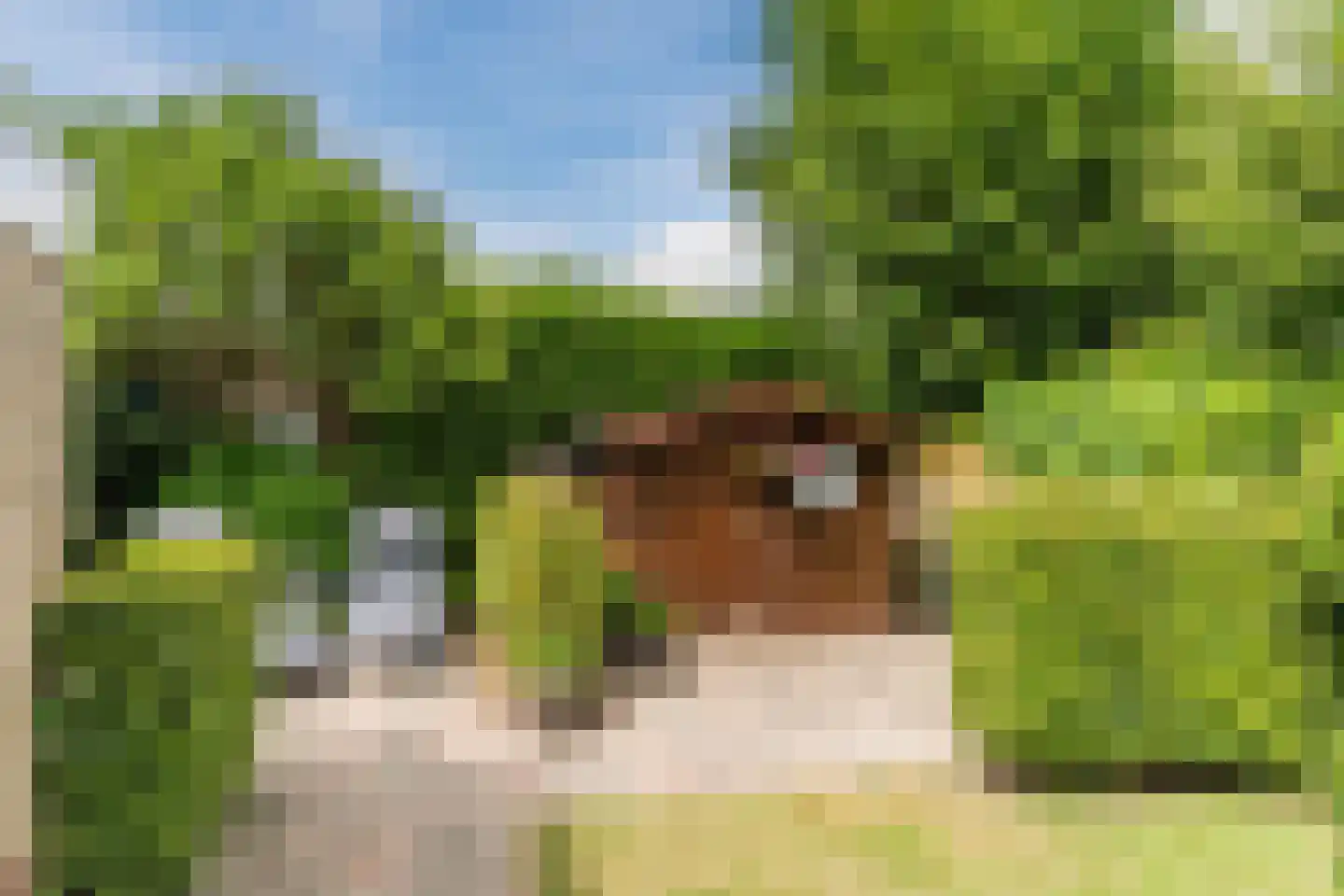 Madeliefstraat 4 Berkel-Enschot thumbnail 36
