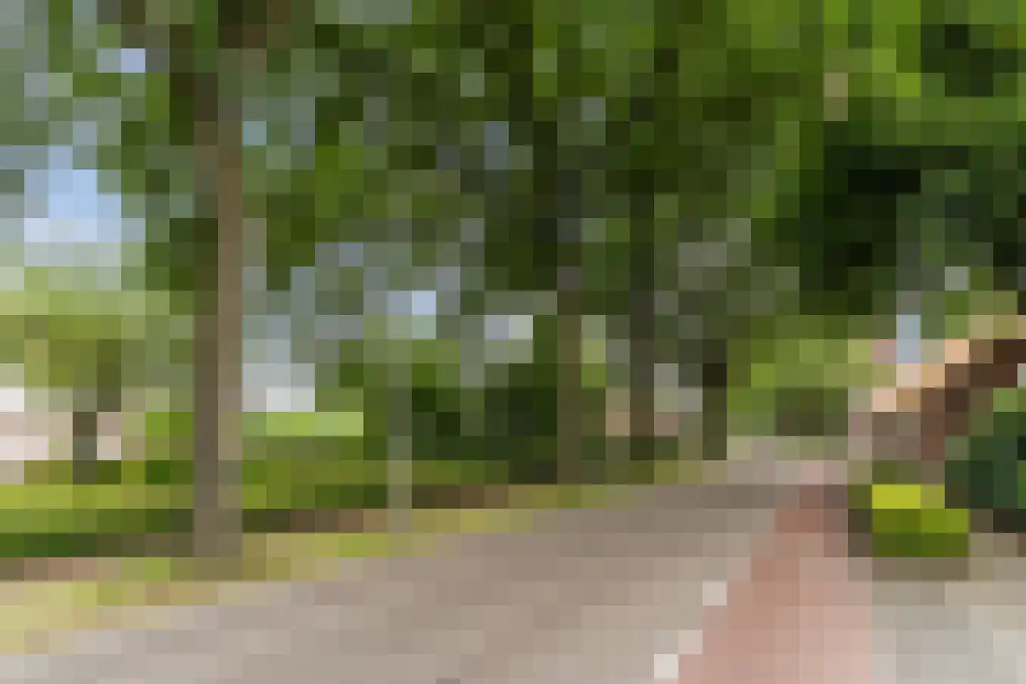 Madeliefstraat 4 Berkel-Enschot thumbnail 43