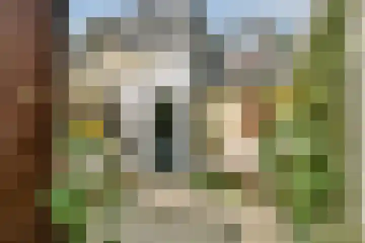 Madeliefstraat 4 Dordrecht thumbnail 5