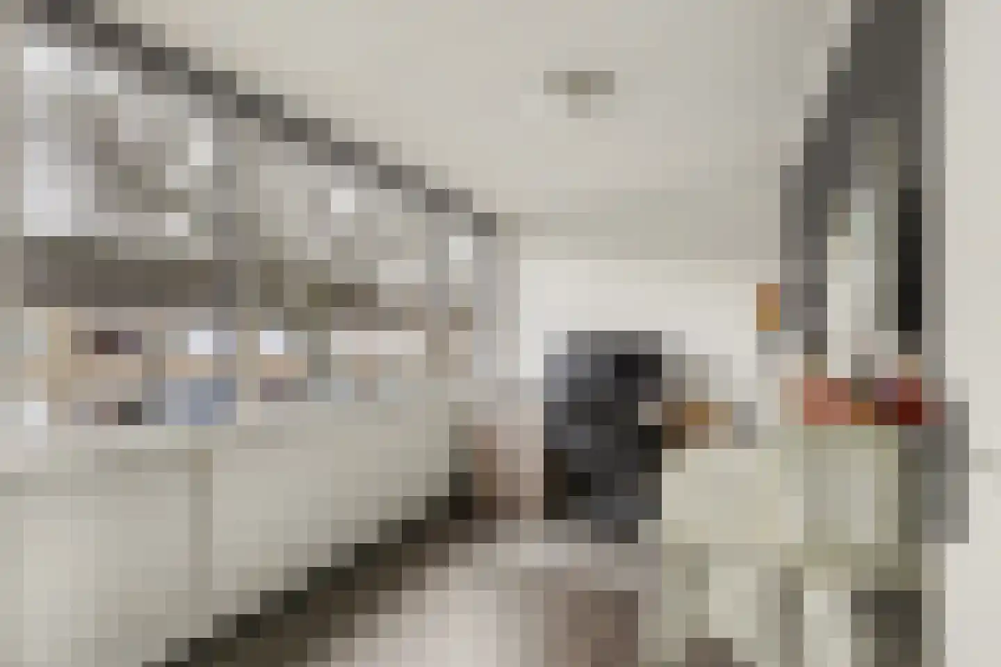 Madeliefstraat 4 Waalwijk thumbnail 15