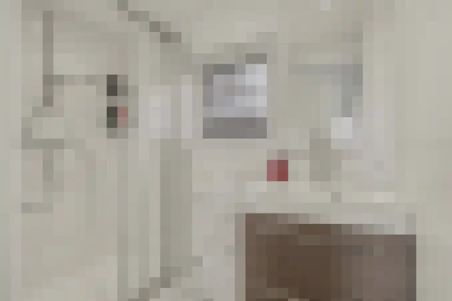 Madeliefstraat 4 Waalwijk thumbnail 17