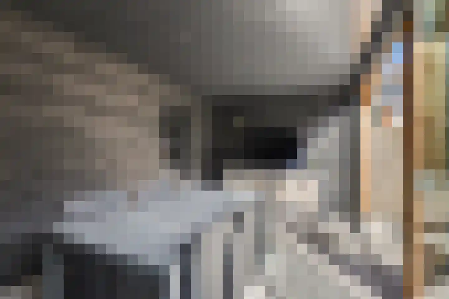 Madeliefstraat 4 Waalwijk thumbnail 22