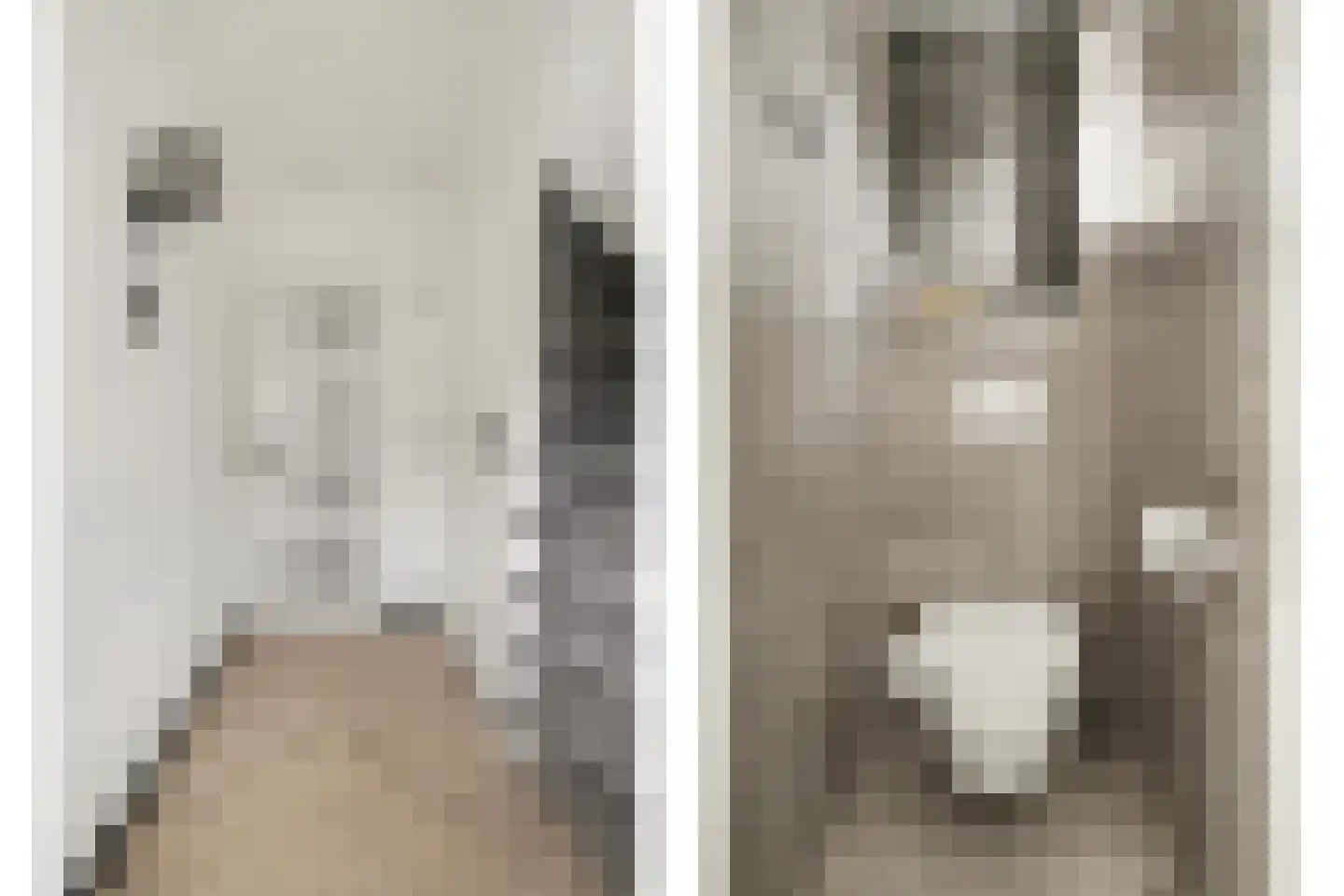 Madeliefstraat 4 Waalwijk thumbnail 6