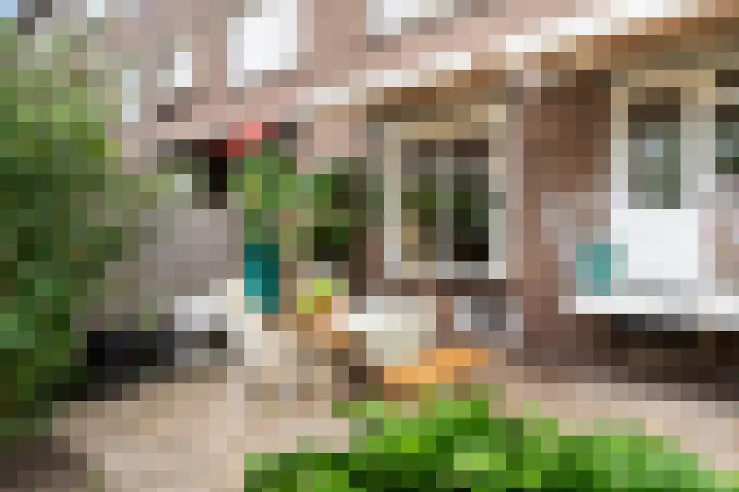 Madeliefstraat 43 A Rotterdam thumbnail 30
