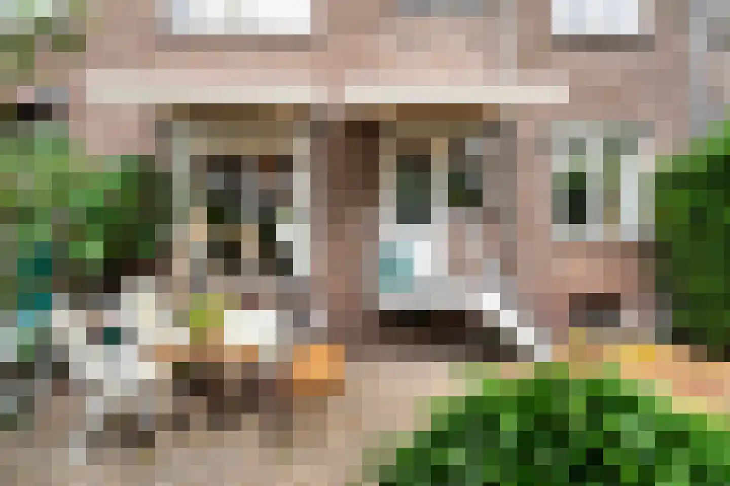 Madeliefstraat 43 A Rotterdam thumbnail 31