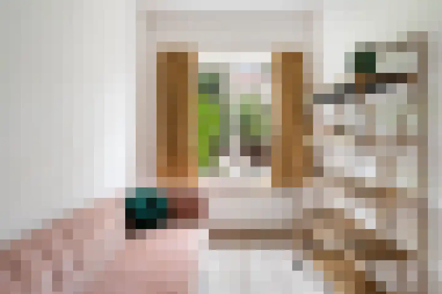 Madeliefstraat 43 A Rotterdam thumbnail 37