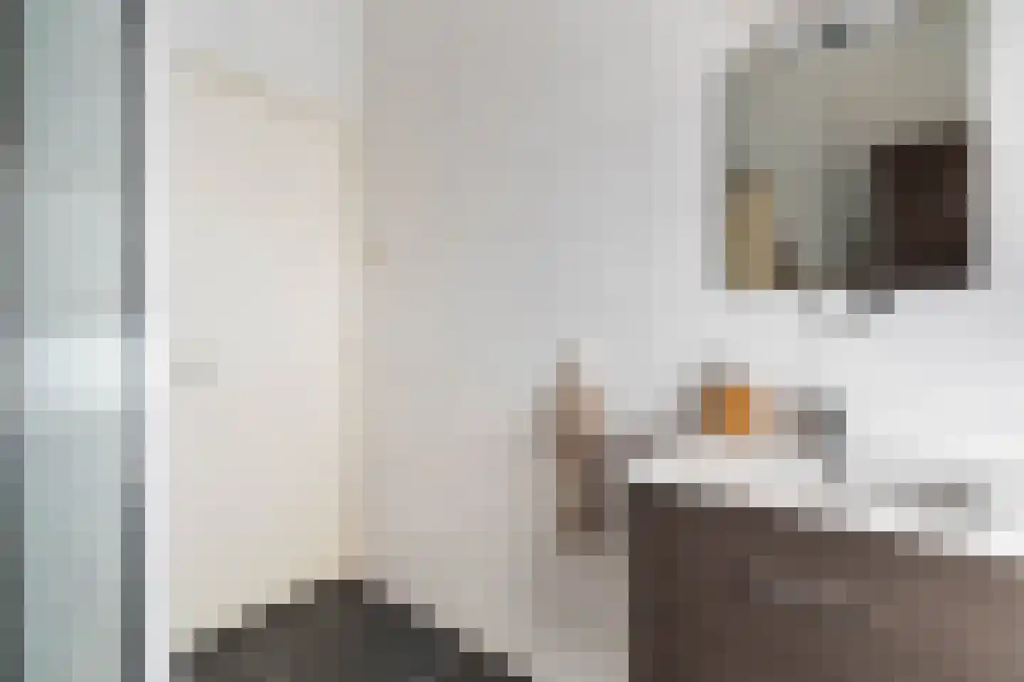 Madeliefstraat 43 A Rotterdam thumbnail 5