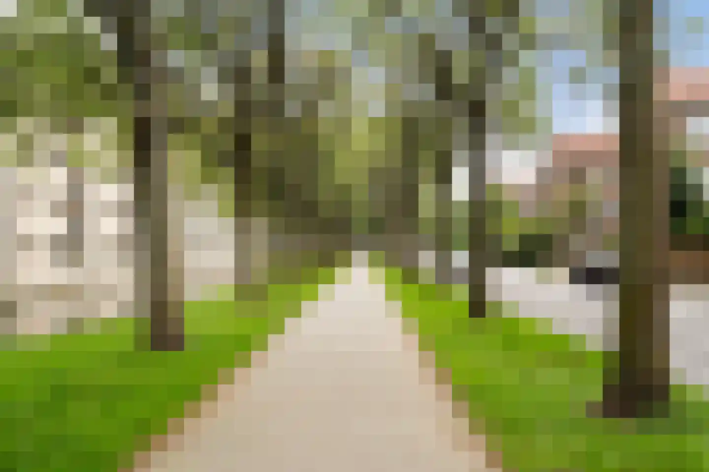 Madeliefstraat 43 A Rotterdam thumbnail 50