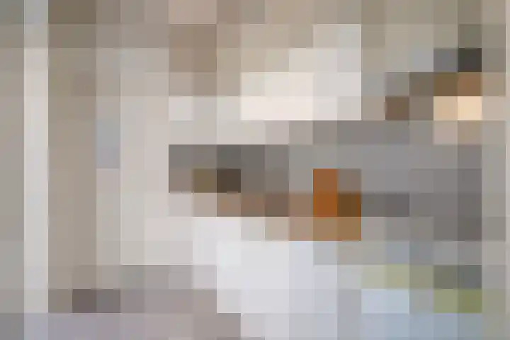 Madeliefstraat 45 Eindhoven thumbnail 11