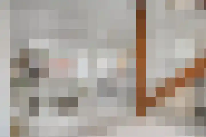 Madeliefstraat 45 Eindhoven thumbnail 20