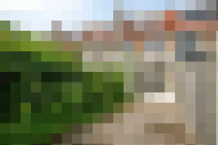 Madeliefstraat 45 Eindhoven thumbnail 22