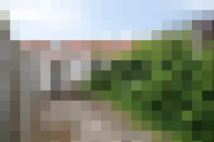 Madeliefstraat 45 Eindhoven thumbnail 24