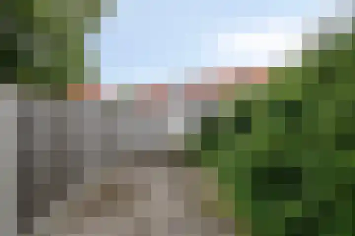 Madeliefstraat 45 Eindhoven thumbnail 25